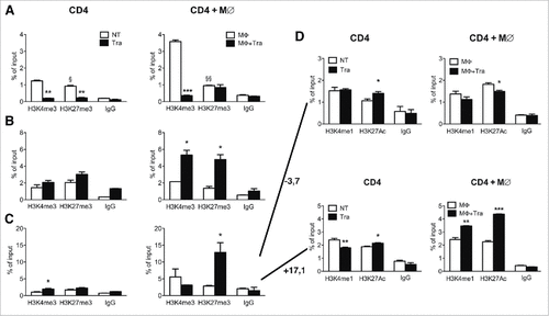 Figure 5. Effects of Trabectedin on CD4 T cells. ChIP analysis of H3K4me3 and H3K27me3 of Il10 (A) and T-bet (B) and Pdcd1 promoter (C) and associated enhancers at −3.7kb and +17.1kb from the transcription start site (D) in sorted CD4 T cells from naïve mice alone or in the presence of Trabectedin and stimulated with supernatants from M∅ in the presence or absence of Trabectedin. Columns represent percentage of input chromatin. Data are represented as means ± SEM of pooled cells from two independent experiments. Statistical analysis by unpaired Student's t test. #, ##, ### P values statistically different between NT and Tra; §, §§ P values statistically different between permissive and repressive marks in the NT or Tra group.