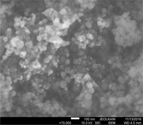Figure 2 Scanning electron micrograph of the CuZnFe oxide nanoparticles.