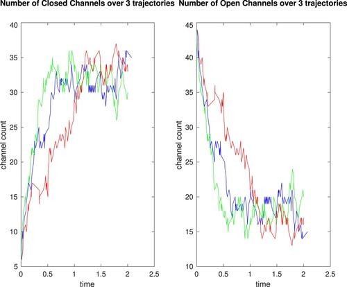 Figure 4. Trajectories showing numbers of closed and open channels (vertical axis) up to time T=2 (horizontal axis).