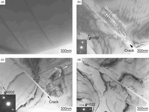 Fig. 2. Microstructure of the TEM specimen: (a) before strain, (b) after first tensile strain, (c) after second tensile strain with g=[Citation002] and (d) after second tensile strain with g=[Citation022], insets are the corresponding SAED patterns.