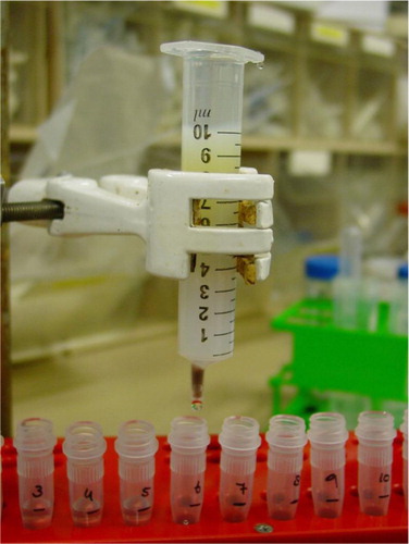 Fig. 1.  Image of size-exclusion chromatography column. A 10 mL syringe stacked with sepharose CL-2B for isolation of vesicles from platelet-free supernatant of platelet concentrates.