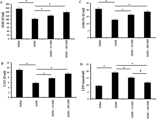 Figure 4. MS enhances the activity of plasma SOD, CAT, and Gpx as well as it suppresses lipid peroxidation (LPO) in AOM-exposed mice. The animals were randomly divided into four groups and fed normal chow or a diet supplemented with MS (5 or 10%). AOM (10 mg/kg body weight i.p.) was given once a week for 3 weeks. Plasma was collected after 35 weeks of feeding the animal with either. SOD activity (A), CAT activity (B), GSH-Px (Gpx) activity (C), and LPO (D) were assayed as described in the Materials and methods section. Significant increases (*P < 0.05) in SOD, CAT, GSH-Px, and a decrease in LPO were observed in the 10% MS group (n = 15). The results suggest that one of the ways that MS decrease the tumorogenic effects of AOM is by inducing enhanced activities of anti-oxidative enzymes.