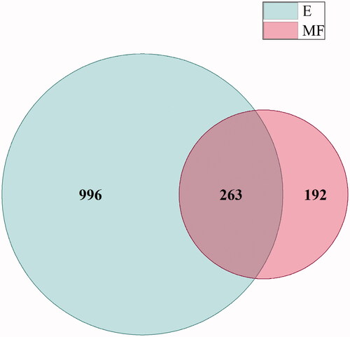 Figure 1. Venn diagram of peptide sequences identified in both protein hydrolysates, total protein extract (E) and microsomal fraction extraction (MF).