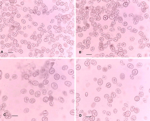 Figure 2.  The relative sizes and shapes of the oocysts in the inocula used for experimental infections. 2a: E. acervulina (Houghton). 2b: E. praecox (Houghton). 2c: E. praecox (Raleigh). 2d: E. praecox (Tynygongl). Scale bars = 20 µm.