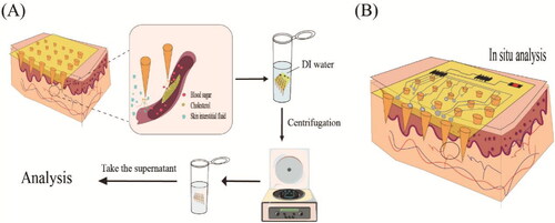 Figure 10. Two patterns of HA MNP extraction diagnosis. (A) ISF was extracted from the MeHA hydrogel MNP and then analyzed. (B) Detection chip and the MeHA hydrogel MNP integrated device for in situ analysis.