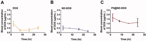 Figure 5. Blood concentrations of Plt@ND-DOX, ND-DOX and DOX within 24 hr of an intravenous bolus injection (normalized to 0.1 mg/kg bw of DOX). Blood samples from the retro-orbital plexus were drawn at hr 2, 8, 16, and 24 for fluorescence spectrophotometry analysis of drug concentration standardized to DOX. Values were means ± SD (n = 3, * p < .05).