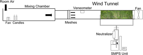 Figure 1. A sketch of the wind tunnel experimental setup. Illustration of the experimental setup showing the vegetated section inside the wind tunnel, the particle generation inside the mixing chamber and the location of the meshes to homogenize the inflow velocity. The neutralizer and the SMPS unit used to measure concentrations are also shown. The air flow direction is from left to right.
