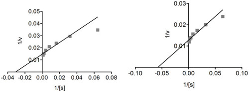 Figure 10 Lineweaver–Burk plots representing the reciprocal of initial α-glucosidase velocity versus the reciprocal of substrate concentration in the presence of different concentrations of compound 2 and the standard acarbose.