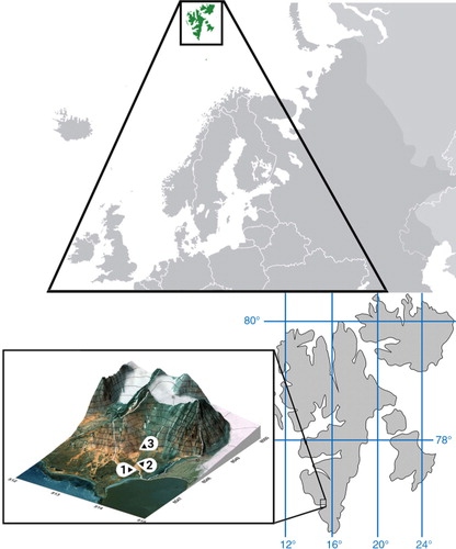 Fig. 1 The sampling area location on Spitsbergen, Svalbard. Collection sites for lake water (1), stream water (2) and atmospheric precipitation (3) are marked.