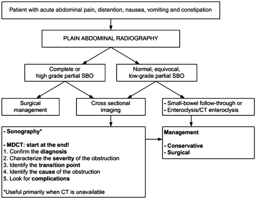 Figure 12: Diagnostic algorithm providing a guideline for the investigation of SBO. Reproduced with permission of Silva AC, Pimenta M, Guimaraes LS. Small bowel obstruction: what to look for. Radiographics 2009; 29:423-439