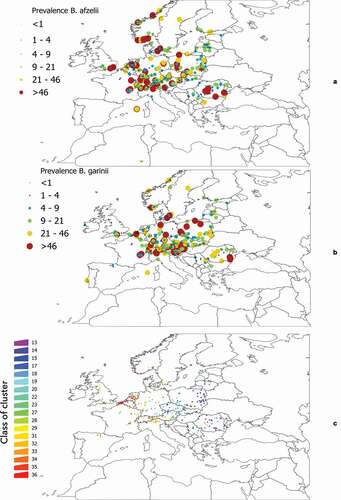Figure 1. General background of distribution of Borrelia spp. in western Palearctic and the individual sets of clusters used for further analyses. a: The coordinates of records of B. afzelii in questing nymphal I. ricinus as reported in the published literature. b: The coordinates of records of B. garinii in questing nymphal ticks as reported in the published literature. For both a and b, compilation finished in the year 2018. Color and size of the dots mean for the reported prevalence. c: The sites used for statistical evaluations between the communities of vertebrates and infection rates of Borrelia spp. were calculated. The color of each point (which is actually an hexagon whose diameter is 0.25º) corresponds to the correlative numbering of the clusters obtained from the bioregionalization of vertebrates.