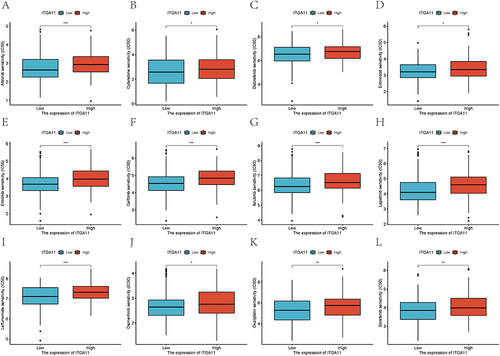 Figure 7 Drug sensitivity of ITGA11 in STAD. The predicted IC50 of Afatinib (A), cytarabine (B), dabrafenib (C), entinostat (D), erlotinib (E), gefitinib (F), ibrutinib (G), lapatinib (H), leflunomide (I), osimertinib (J), oxaliplatin (K), and sorafenib (L) according to ITGA11 expression. *p < 0.05; **p < 0.01, ***p < 0.001; ns, no significance.