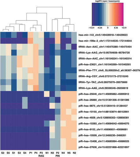 Figure 4. Heatmap of top 20 differentially expressed small RNAs in N, S and P samples