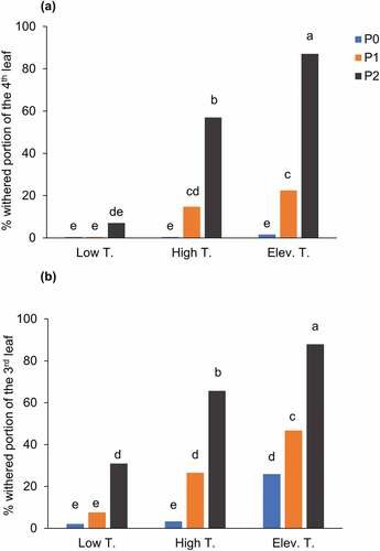 Figure 2. Percentages of withered portions of the 4th (a) and 3rd leaves (b) at six days after transplanting as affected by different temperatures (Low T, High T, Elev. T) and P2O5 concentrations in the slurry (0%, 2.3%, and 4.4% for P0, P1, and P2, respectively). Data are shown as mean values of 0 h and 2 h dipping durations. Different letters indicate that mean values were significantly different among the treatments at 5% according to Tukey’s HSD test. Day/night temperature; 28°/20°C in Low T, 33°/25°C in High T, 36°/27°C in Elev. T.