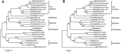 Fig. 1 Phylogenetic relationship of Himalayan subtype with other subtypes of TBEV.a The phylogenetic tree of E protein. b The phylogenetic tree of polyprotein. Strains of Him-TBEV were indicated in boldface. Phylogenetic trees were constructed using MEGA 6.0 with neighbor-joining method (1000 bootstrap replications). Bootstrap values (>70%) are shown at the branches. Scale bar below indicates the nucleotide substitutions per site
