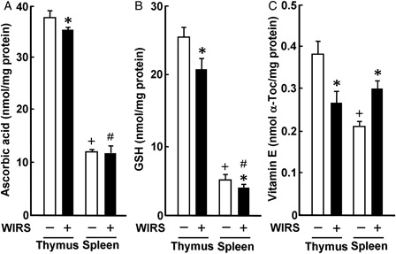 Figure 4. Effect of WIRS on ascorbic acid (A), GSH (B), and vitamin E (C) concentrations in the thymus and spleen of rats. Each value is a mean ± SD (n = 5 for rats without WIRS; n = 8 for rats with WIRS). *Significantly different from rats without WIRS (P < 0.05). +Significantly different from the thymus of rats without WIRS (P < 0.05). #Significantly different from the thymus of rats with WIRS (P < 0.05).