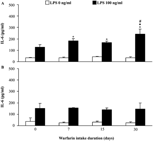 Figure 4.  Effect of warfarin intake on peripheral blood leukocyte IL-6 production and expression. Spontaneous (LPS 0 ng/ml) and stimulated (100 ng LPS/ml) IL-6 production was analyzed in conditioned medium of (a) mononuclear and (b) polymorphonuclear cells isolated from peripheral blood of rats that did not consume warfarin (control, warfarin intake duration = 0 days) and rats that consumed warfarin (3.5 mg/L) for 7, 15, or 30 days. Data are presented as mean ± SD from at least two independent experiments, with 4–6 rats/timepoint/treatment. Value significantly different from: control (warfarin intake duration = 0 days) (*p < 0.05); values for warfarin intake duration = 7 days (• p < 0.05), and values for warfarin intake duration = 15 days (# p < 0.05).