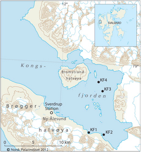 Fig. 1  Map of Kongsfjorden, Svalbard, with the four measurement sites in 2004. The Svalbard Archipelago is shown in the inset.
