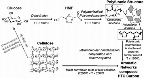 Figure 6. Different hydrothermal carbonization mechanisms for glucose and cellulose under mild processing conditions (180°C < T < 280°C) (Reproduced from reference (Citation59) with permission from Royal Society of Chemistry).