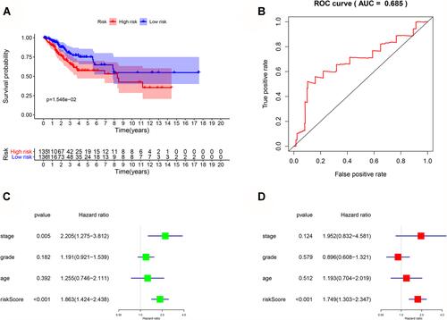 Figure 9 (A) Survival analysis of hub significant survival‐associated SFs. (B) ROC analysis of hub significant survival‐associated SFs. (C) Univariate Cox regression analysis was performed including clinical factors and risk score based on hub significant survival‐associated SFs. (D) Multivariate Cox regression analysis was performed including clinical factors and risk score based on hub significant survival‐associated SFs.