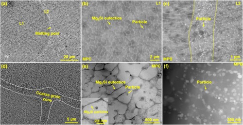 Figure 2. (a–d) SEM and (e,f) TEM images showing the microstructure of as-LPBFed Al–5Mg2Si–2Mg–2Fe alloy; (a) the overall microstructure; (b,c) the detailed microstructure in zone L1 and zone L2, respectively; (d) the overall microstructure after deep etching; (e) BF-TEM image showing the detailed microstructure in zone L1; (f) STEM image displaying the detailed microstructure in zone L2.