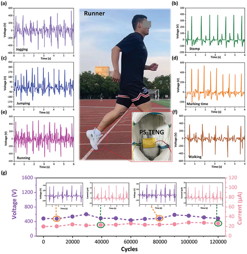Figure 5. (a) the output voltage signal of PS-TENG when the athlete is in various motion postures, such as (a) jogging, (b) stomp, (c) jumping, (d) marking time, (e) running, and (f) walking. (g) reliability study of PS-TENG under prolonged continuous working conditions.
