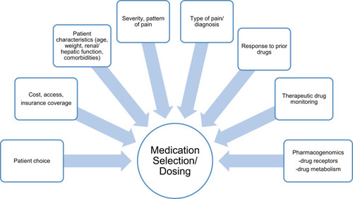 Figure 1 Patient factors for medication selection and dosing.