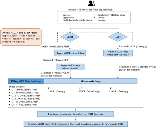 Figure 1 Recommended algorithm for screening and diagnosis of CKD.