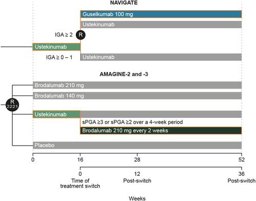 Figure 1 Trial designs of NAVIGATE and AMAGINE 2/3. In AMAGINE-2 and −3, at week 12, patients who were originally randomized to brodalumab underwent repeat randomization (2:2:2:1) to one of four maintenance regimens: brodalumab at 210 mg every 2 weeks, 140 mg every 2 weeks, 140 mg every 4 weeks, or 140 mg every 8 weeks. Patients who were originally randomized to placebo were switched to brodalumab at a dose of 210 mg every 2 weeks. Patients who were originally randomly assigned to receive ustekinumab and had an adequate response continued to receive ustekinumab every 12 weeks until week 52. These details are reported in more detail in Lebwohl et al 2015.