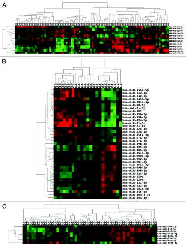 Figure 3. miRNA expression can differentiate high grade from low grade ccRCC. (A) Unsupervised two-dimensional hierarchical clustering with a data matrix of 17 probes in 94 ccRCC (44 LG and 50 HG). (B) Unsupervised two-dimensional hierarchical clustering with a data matrix of 37 probes in 23 ccRCC (7 grade I and 16 grade IV). (C) Unsupervised two-dimensional hierarchical clustering with a data matrix of 7 probes in 59 ccRCC (38 LGLS and 21 HGLS). LL, low stage, low grade; LH, low stage, high grade.