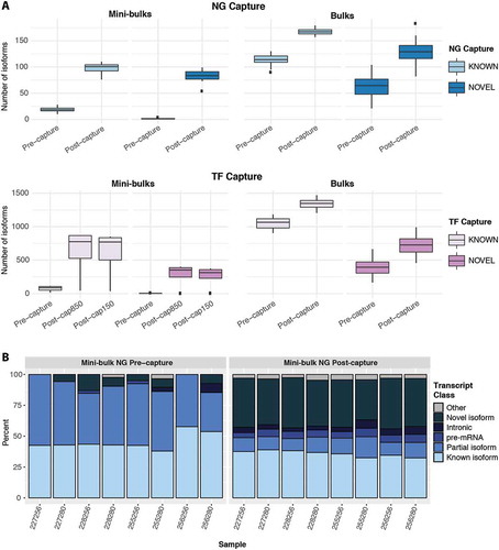 Figure 3. Mini-bulk CaptureSeq allows comprehensive profiling of expressed gene isoforms. (A) Number of known and novel isoforms detected pre- and post-capture. (B) Percentage of detected isoforms in different classifications classes pre- and post-capture. Isoform classes described in methods