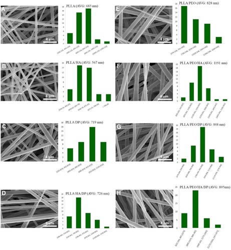 Figure 4 FESEM imaging and ImageJ analysis of electrospun nanofibrous scaffolds: (A) PLLA, (B) PLLA/HA, (C) PLLA/DP, (D) PLLA/HA/DP, (E) PLLA/PEO, (F) PLLA/PEO/HA, (G) PLLA/PEO/DP, (H) PLLA/PEO/HA/DP nanofibrous structure, scale bar, 4 µm.