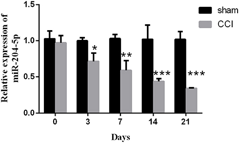 Figure 2 MiR-204-5p level was down-regulated in chronic constriction injury (CCI) rat model. One-way ANOVA. *P < 0.05, **P < 0.01, ***P < 0.001 vs sham group.