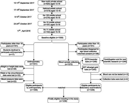 Figure 1 The northeast of Chinese adolescents participant flow.