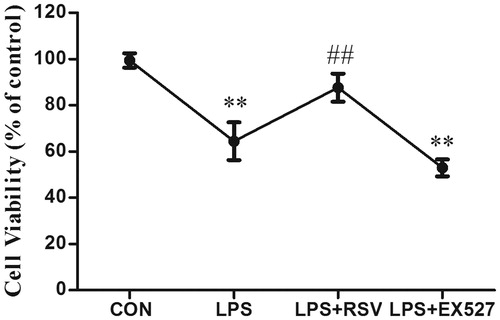 Figure 1. INS-1 cell viability in different groups. ** p < .01, ## p < .01 vs. LPS group.