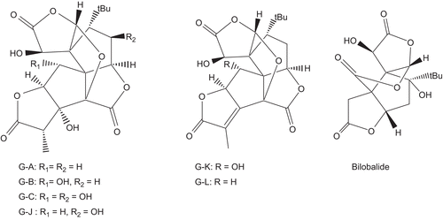 Figure 1.  Structural formulas of terpene trilactones (TTLs): ginkgolides and bilobalide.