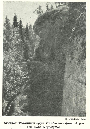 Figure 6. This photograph exemplifies how wild forests are represented in pictorial terms, where no signs of humans are visible. Instead, there is a focus on showing seemingly ‘untouched’ forests. Often ones with dramatic features that make them appear as hard to reach. This photograph was taken by S. Sundberg in Tiveden and published in the yearbook of 1930 (Haugard, Citation1930, p. 177).