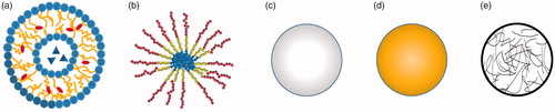 Figure 2. Representative structures of various NPs for drug delivery. (a) Liposomes, (b) polymeric micelles, (c) polymeric nanoparticle, (d) gold nanoparticle and (e) nanogel.