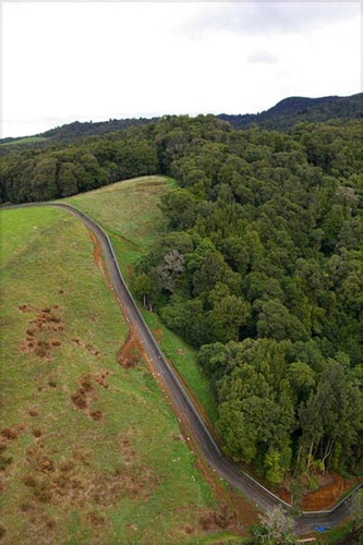 Figure 2. An aerial view of a portion of pest-proof fencing and indigenous forest at Maungatautari. Te Ara, the Encyclopedia of New Zealand (Citation2005–2013). Used with permission.