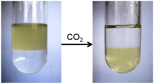 Figure 1. The hydrophobic to hydrophilic transformation of 4-vinylbenzyl amidine upon stimulation of CO2. The solvent is n-hexane and water (v/v = 1:1).