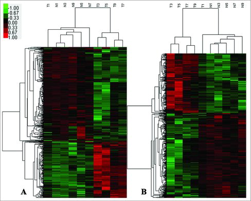 Figure 1. Heat map of the circRNA and mRNA profiles in GC tissues versus paired normal gastric mucosa tissues. Red indicates high relative expression, and green indicates low relative expression. The expression of mRNA (A) and circRNA (B) were hierarchically clustered on the y-axis, and the tissue samples are hierarchically clustered on the x-axis (Fold change ≧ 2, p < 0.05). Expression levels are presented in red and green, indicating upregulated and downregulated RNAs, respectively. Numbers marked with T and N are from five paired gastric cancer tissues and paired adjacent normal tissues, respectively.