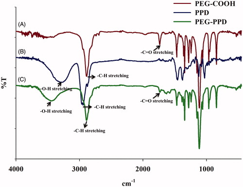 Figure 3. Characterization of PEG-PPD conjugates and its intermediates by FTIR spectra. (A) PEG-COOH, (B) PPD, and (C) PEG-PPD.