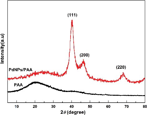 Figure 2. X-ray diffraction patterns of PAA and PdNPs/PAA catalyst.