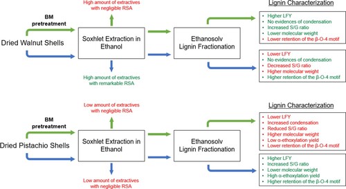 Figure 5. Schematic representation of the main results derived from the structural characterization of the lignin samples, in which the effects induced by the BM pretreatment are underlined.