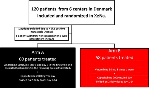 Figure 1. Trial flowchart for the XeNa trial. Patients over 65 start at dose level −1 and are not increased. If one drug is reduced both drugs are given in the new dose. Blood samples were taken day 1 and day 8 in the first cycle, and only day 1 in the following cycle if satisfactory.