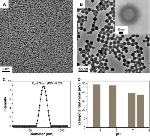 Figure 1 Morphology of the PEI@PMMA NPs.Notes: (A) SEM image and (B) TEM image (inset of B: high-resolution TEM image of the PEI@PMMA NPs, which was stained with 0.5% w/w phosphotungstic acid solution for 1 minute). (C) Particle size and size distribution (mean particles size =279 nm, PDI =0.027) of PEI@PMMA NPs in PBS. (D) pH dependence of the zeta-potentials of the PEI@PMMA NPs.Abbreviations: NPs, nanoparticles; PBS, phosphate-buffered saline; PDI, polydispersity index; PEI, polyethyleneimine; PMMA, poly(methyl methacrylate); SEM, scanning electron microscopy; TEM, transmission electron microscopy.