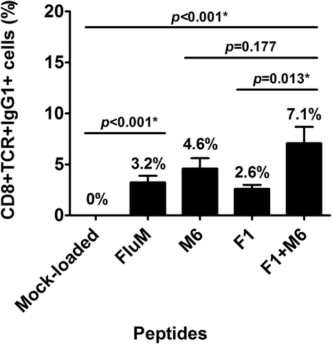 Figure 4. PV1 is immunogenic.The graph shows the average population of antigen-specific T-cells that recognise the peptide-loaded dimers (CD8+ TCR+ IgG1+ %), after subtracting mock-peptide loaded control. Dimer loaded with F1, M6 and PV1 peptides can be recognised by the inherent T-cells from HNSCC patients where PV1 peptides can be recognised by higher population of T-cells compared to single peptide (F1 or M6) alone.