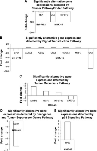 Figure 7 Determination of significantly altered gene expression using PCR arrays.