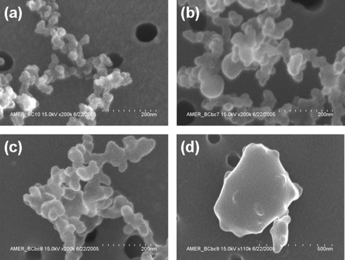 FIG. 3 Scanning electron microscope (SEM) images of soot at four different equivalence ratios: φ = 2.3 (a), φ = 2.8 (b), φ = 3.5 (c), and φ = 5.0 (d).