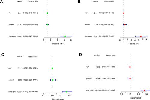 Figure 4 Univariate and multivariate Cox regression analyses results of prognostic IRGPs signature, and clinical features in the training and validation data sets. (A and B) Forest plots showing univariate and multivariate Cox regression analyses results of the training data set, respectively. (C and D) Forest plots showing univariate and multivariate Cox regression analyses results of the validation data set, respectively.